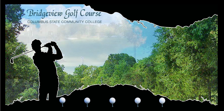 Bridgeview Golf Webpage Layout